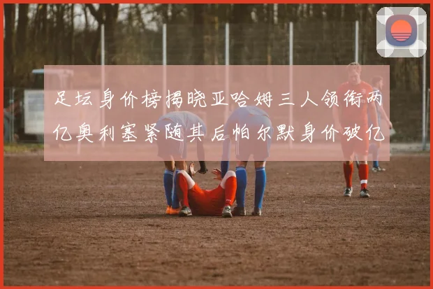 足坛身价榜揭晓亚哈姆三人领衔两亿奥利塞紧随其后帕尔默身价破亿